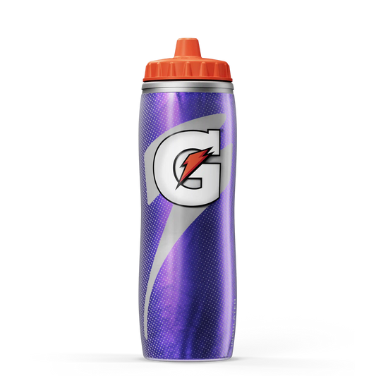 Insulated Squeeze Water Bottle Silver Bottle
